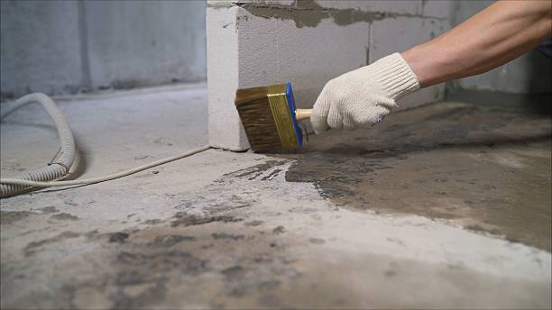SJ Waterproofing Pros Waterproofing coverage map for Northwood, OH and surrounding area